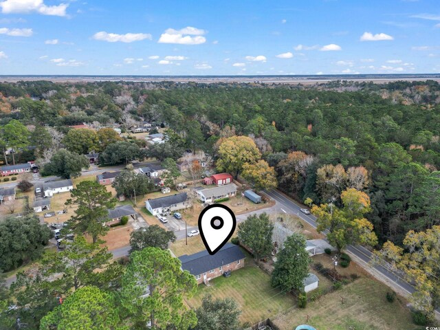 1673 Middleton St, Georgetown, SC 29440 - view of property location with a forest