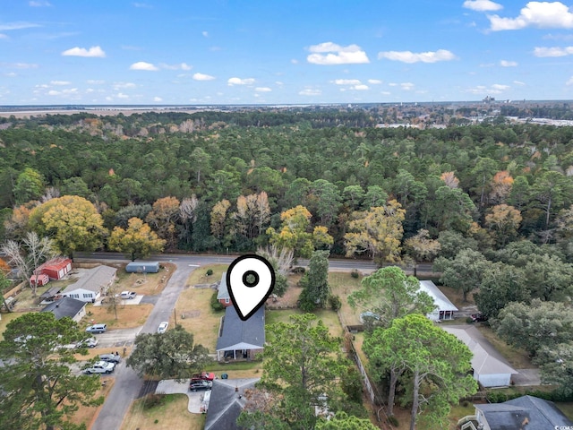 1673 Middleton St, Georgetown, SC 29440 - aerial view of property and surrounding area with a forest
