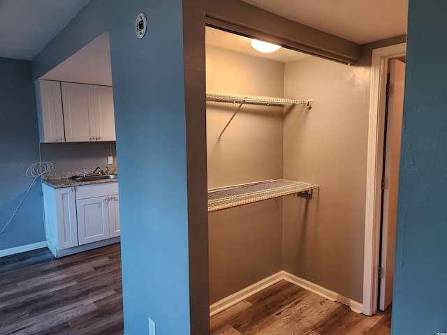 closet featuring sink