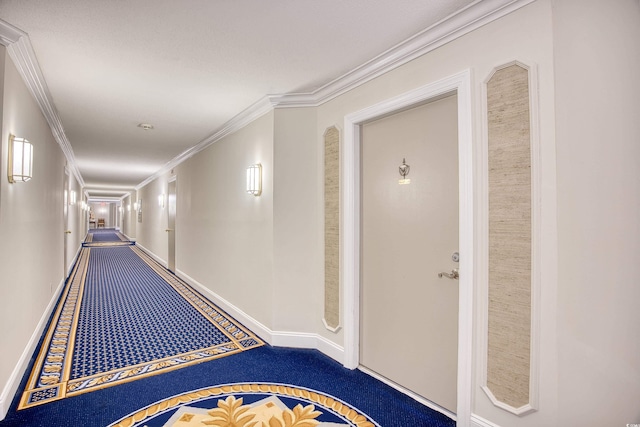 hallway featuring carpet flooring and crown molding