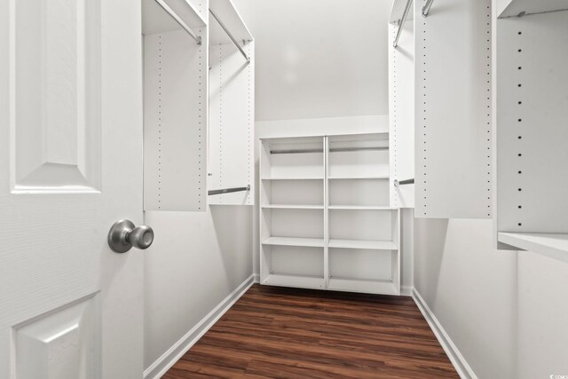 spacious closet featuring dark hardwood / wood-style floors