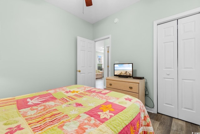 bedroom featuring dark hardwood / wood-style floors, ceiling fan, and a closet