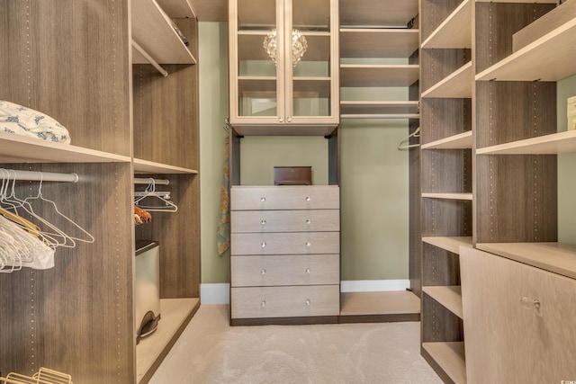 walk in closet with light colored carpet