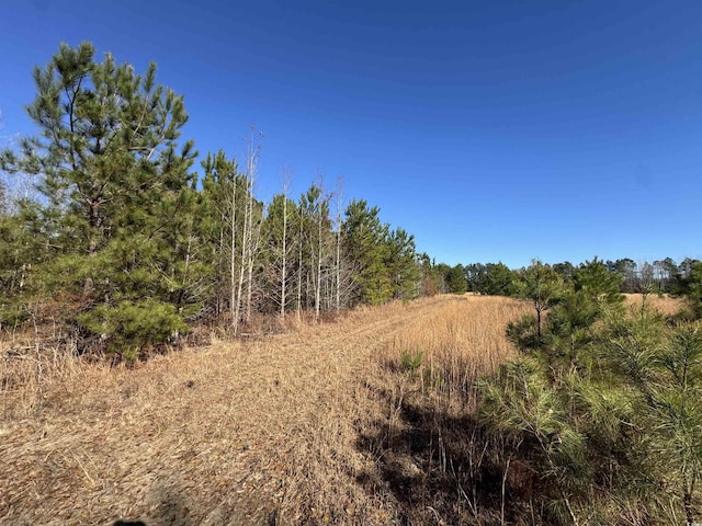 TBD Sand Plant Rd, Nichols SC, 29581 land for sale