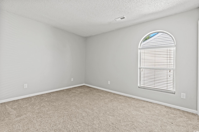 spare room with carpet flooring and a textured ceiling