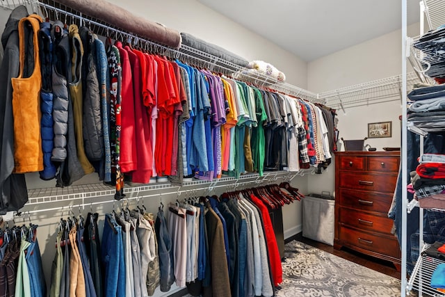 view of spacious closet