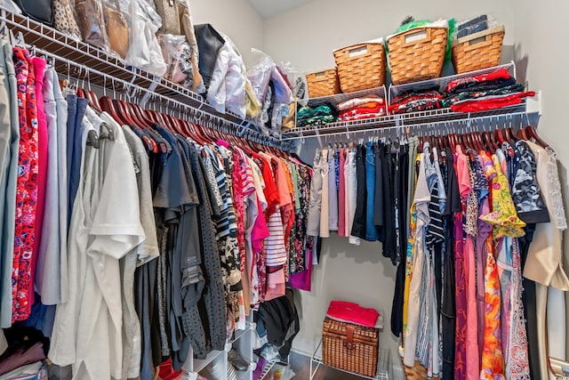 view of spacious closet