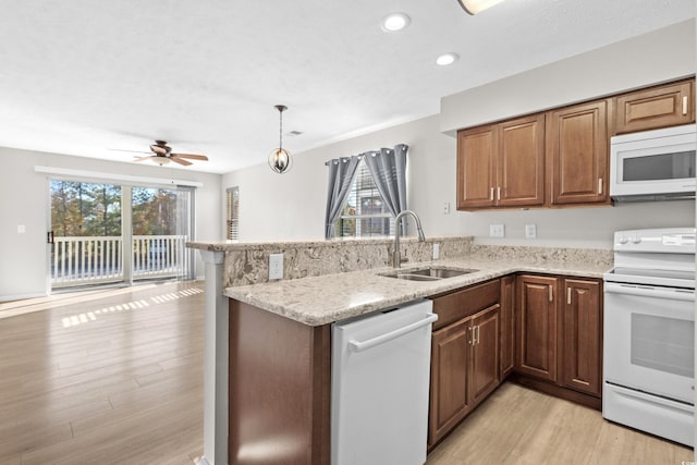 kitchen featuring plenty of natural light, white appliances, sink, and light hardwood / wood-style flooring