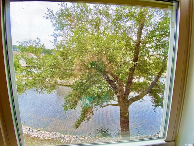 property view of water