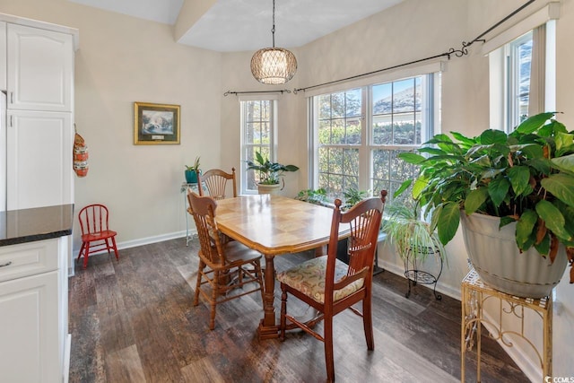 dining room with dark hardwood / wood-style floors