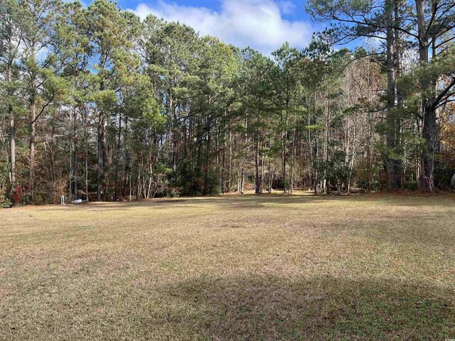 1451 Cane Branch Rd, Loris, SC 29569 - photo 11