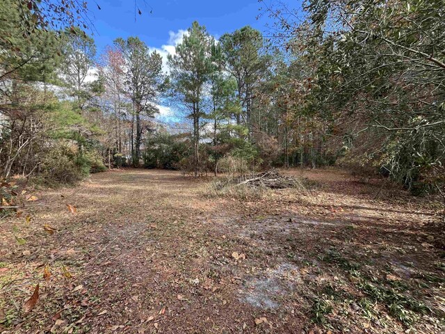 1451 Cane Branch Rd, Loris, SC 29569 - photo 10