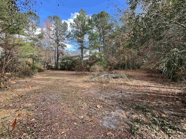 view of local wilderness