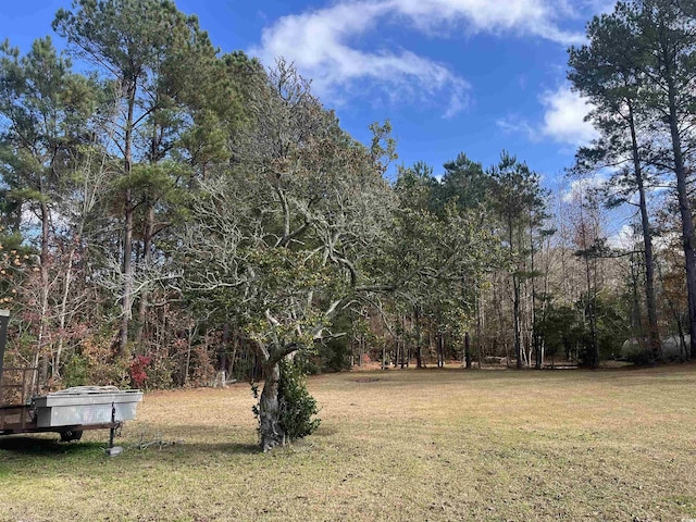 1451 Cane Branch Rd, Loris, SC 29569 - photo 9