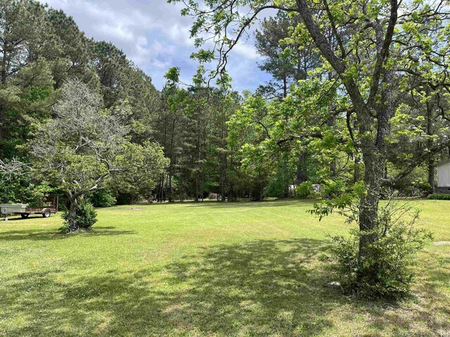 1451 Cane Branch Rd, Loris, SC 29569 - photo 30