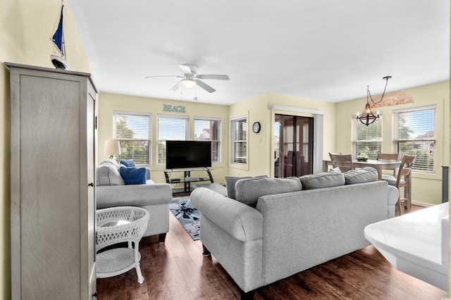 living room featuring ceiling fan with notable chandelier and dark hardwood / wood-style flooring