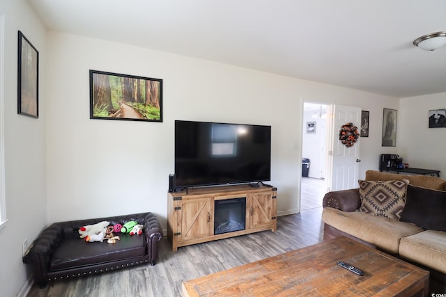 living room with hardwood / wood-style floors