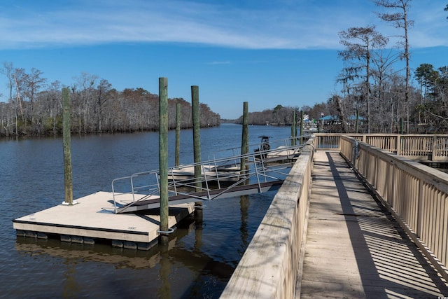 dock area featuring a water view