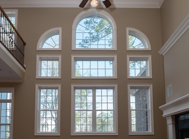 room details featuring a ceiling fan and crown molding