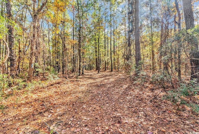 Listing photo 3 for 2670 Vanderbilt Blvd, Pawleys Island SC 29585