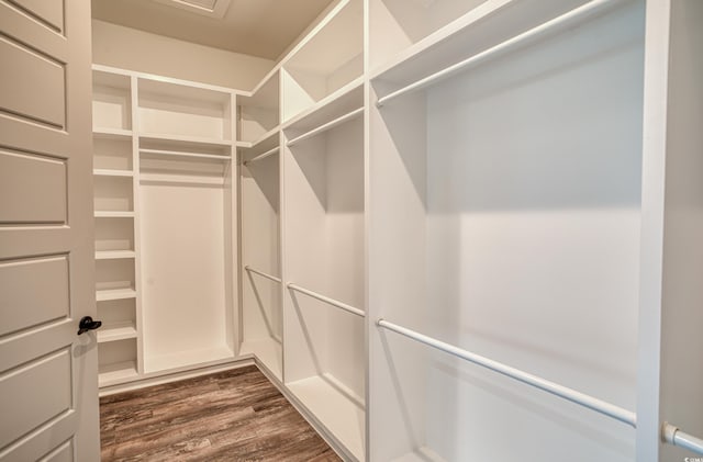 walk in closet with dark hardwood / wood-style floors