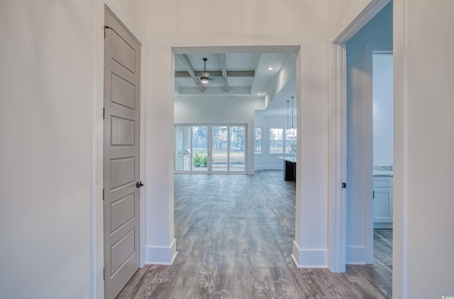 hallway with beamed ceiling, hardwood / wood-style floors, and coffered ceiling