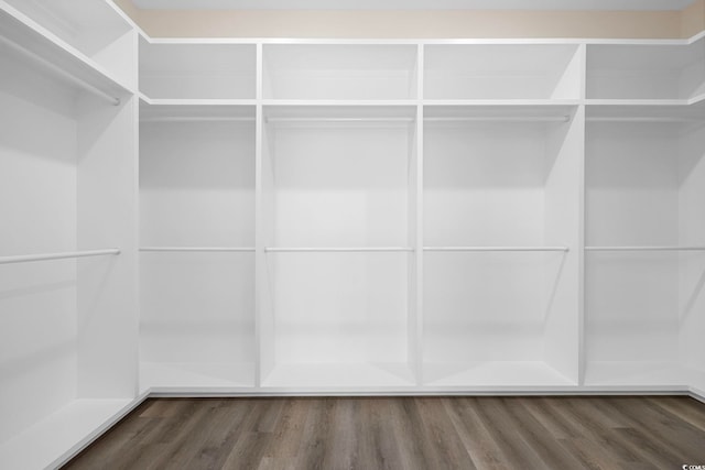 spacious closet with dark wood-style floors