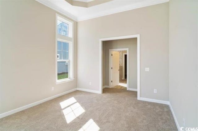 296 Starlit Way, Myrtle Beach, SC 29579 - spare room featuring light carpet, crown molding, and baseboards