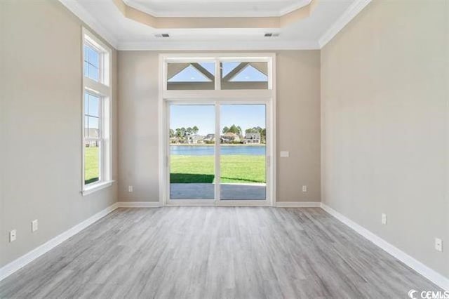 unfurnished room with a tray ceiling and a wealth of natural light