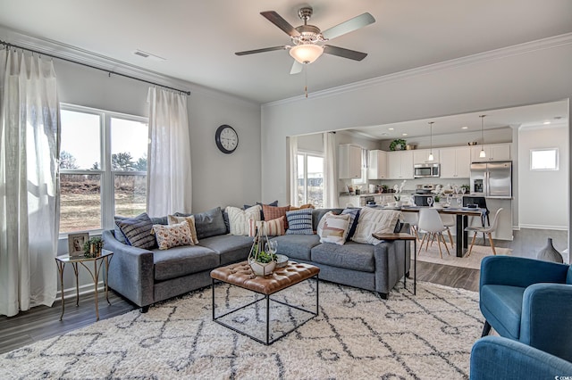 living area featuring visible vents, baseboards, light wood-style flooring, ceiling fan, and ornamental molding