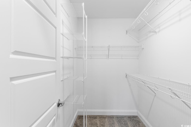 spacious closet with dark colored carpet