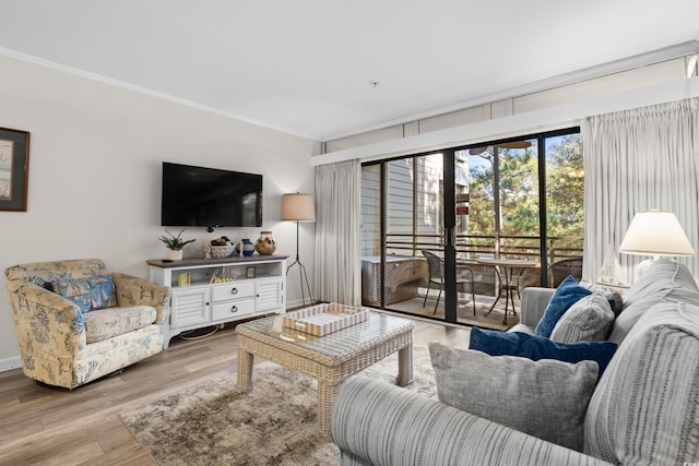 living room with light wood-type flooring