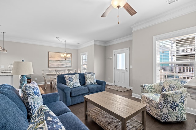 living room featuring plenty of natural light, ceiling fan with notable chandelier, ornamental molding, and dark hardwood / wood-style floors