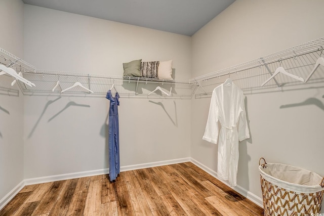 spacious closet with hardwood / wood-style flooring