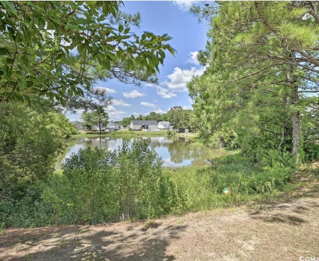 2707 Wood Creek Ln, Conway, SC 29527 - photo 20