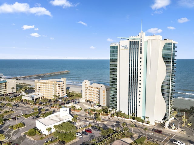 aerial view with a water view and a view of the beach