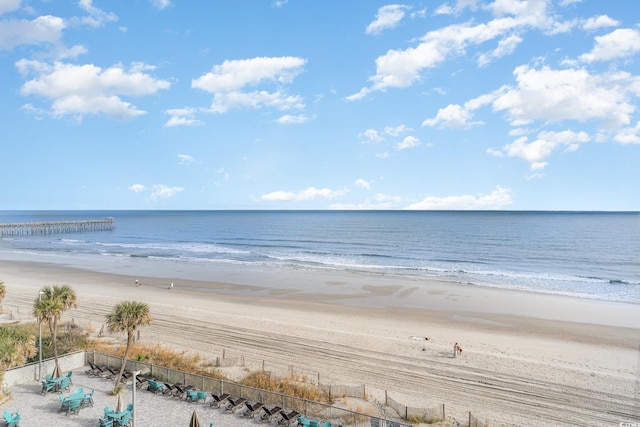 property view of water featuring a beach view