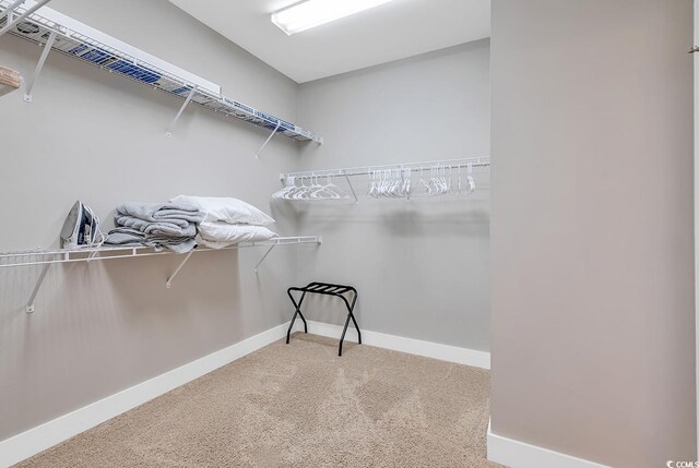 613 Lee Ave, Murrells Inlet, SC 29576 - walk in closet with carpet floors