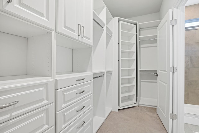 spacious closet with light carpet