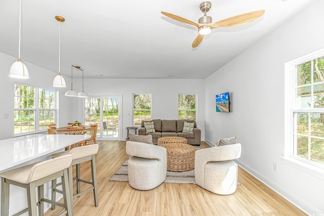 210 26th Ave S, Myrtle Beach, SC 29577 - photo 3