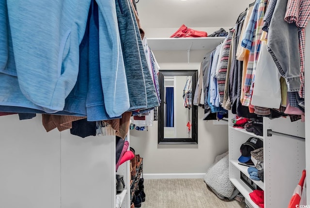 walk in closet with carpet flooring