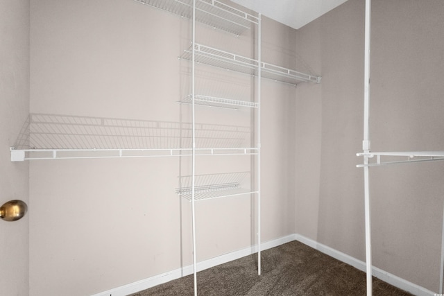 spacious closet with carpet