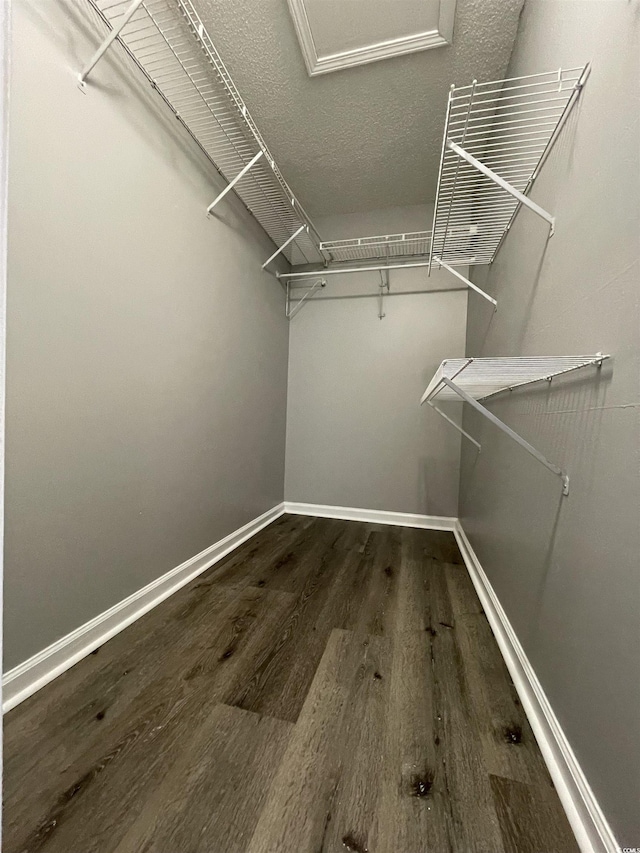 walk in closet with dark wood-type flooring