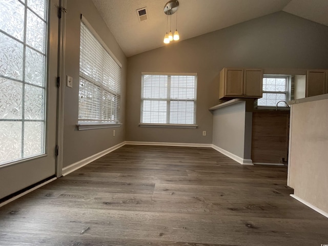 unfurnished dining area with lofted ceiling, a healthy amount of sunlight, and dark hardwood / wood-style floors