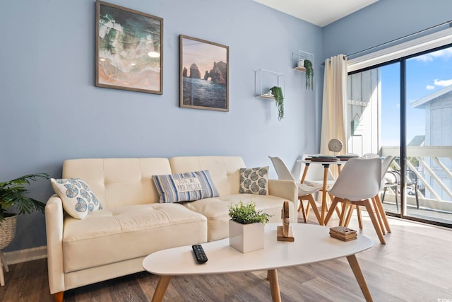 living room with hardwood / wood-style floors