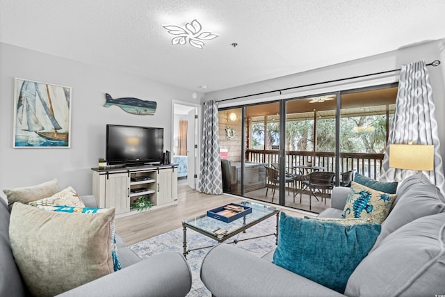 living room featuring light hardwood / wood-style floors and a textured ceiling