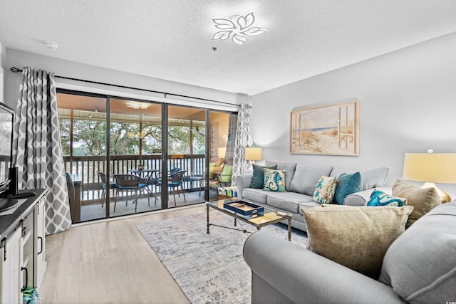 living room with a textured ceiling and light hardwood / wood-style flooring