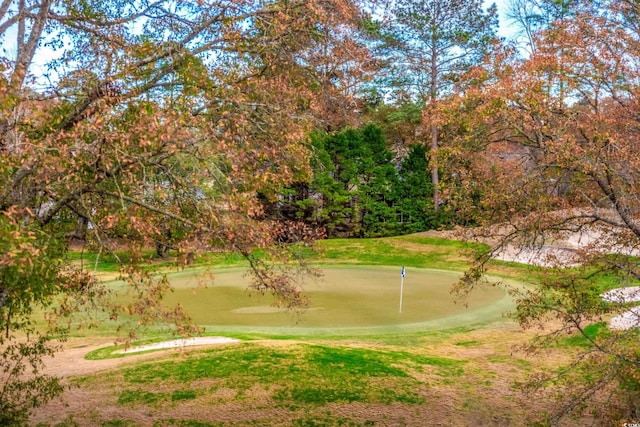 view of property's community featuring a lawn