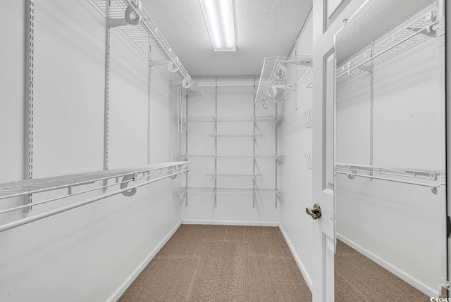 walk in closet with carpet floors