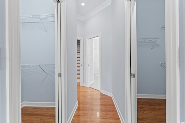 hallway with crown molding and light wood-type flooring